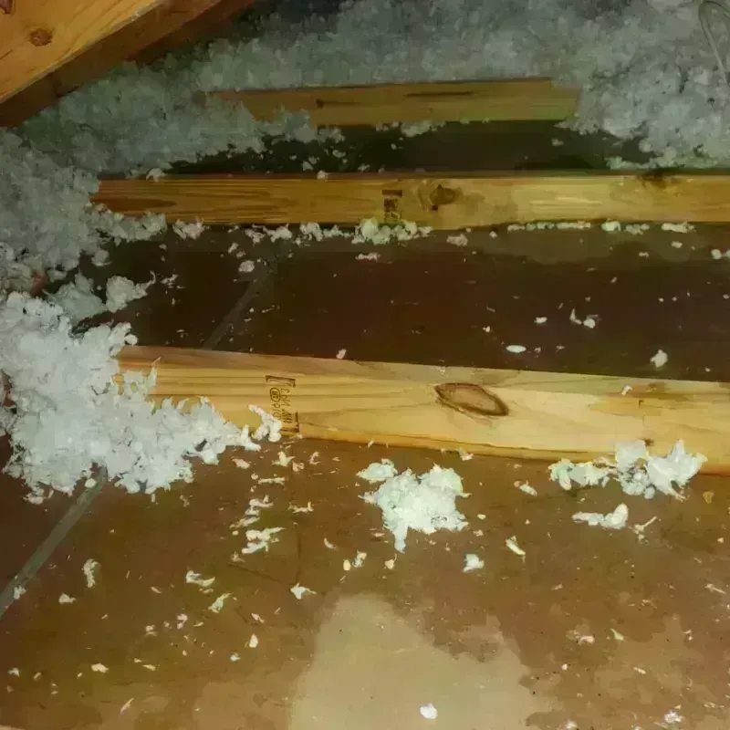 Attic Water Damage in Dyer County, TN