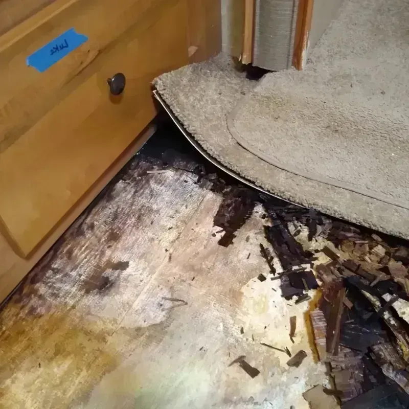 Wood Floor Water Damage in Dyer County, TN